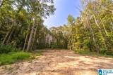 Tract 2 343 County Road 892 - Photo 22