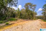 Tract 2 343 County Road 892 - Photo 23