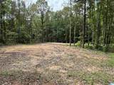 Tract 2 343 County Road 892 - Photo 3