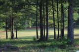  County Road 499 - Photo 2