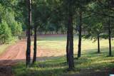  County Road 499 - Photo 8