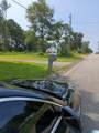 1520 Said Road - Photo 9