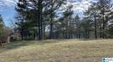 Lot 25 County Road 70 - Photo 11