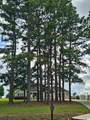1025 County Road 370 - Photo 21