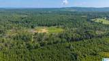 0 County Road 404 - Photo 4
