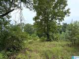 0 County Road 367 - Photo 10