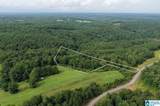 0 County Road 367 - Photo 11