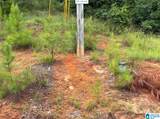 0 County Road 367 - Photo 14