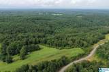0 County Road 367 - Photo 15