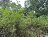 0 County Road 367 - Photo 3