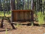 1061 County Road 79 - Photo 6