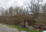0 Craig Drive - Photo 9