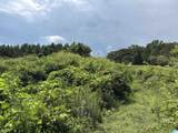  County Road 65 - Photo 5