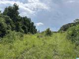  County Road 65 - Photo 7