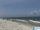 23044 Perdido Beach Boulevard - Photo 21