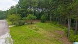 2244 Shore Side Lane - Photo 15