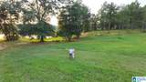  Roanoke Drive - Photo 13