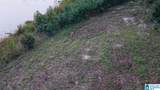  Roanoke Drive - Photo 19