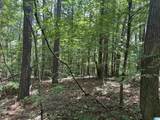 2.47 Acres Jeep Trail - Photo 5