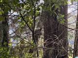 0 Stemley Road - Photo 5