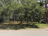 118 Forney Johnson Drive - Photo 1