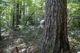 0 Gorgas Road - Photo 11