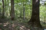 0 Gorgas Road - Photo 12