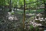 0 Gorgas Road - Photo 14