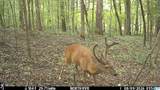 0 Gorgas Road - Photo 15