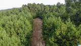 0 Gorgas Road - Photo 18