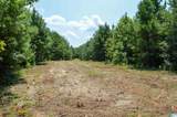 0 Gorgas Road - Photo 19