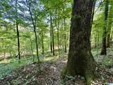 0 Gorgas Road - Photo 9