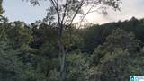 218 Foxtail Path - Photo 15