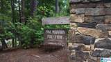 218 Foxtail Path - Photo 2