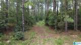 218 Foxtail Path - Photo 7