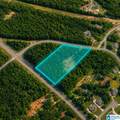 7418 River Road - Photo 5