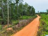 204 County Road 485 - Photo 10