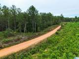 204 County Road 485 - Photo 7