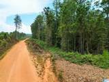 204 County Road 485 - Photo 8