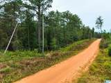 204 County Road 485 - Photo 9