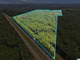2387 County Road 131 - Photo 3