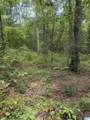 007 Mckesie Street - Photo 3
