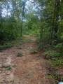007 Mckesie Street - Photo 4