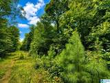 00 Creek Road - Photo 13