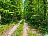 00 Creek Road - Photo 15
