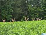 TBD Guinns Cove Road - Photo 1
