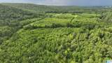 TBD Guinns Cove Road - Photo 11
