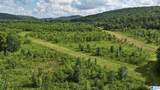TBD Guinns Cove Road - Photo 13