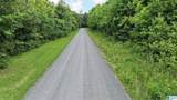 TBD Guinns Cove Road - Photo 16