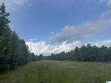 TBD Guinns Cove Road - Photo 17